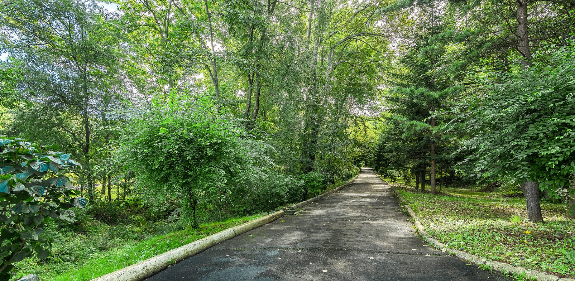 Седанка парк владивосток фото